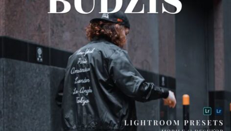 پریست لایت روم دسکتاپ و موبایل Budzis Lightroom Presets