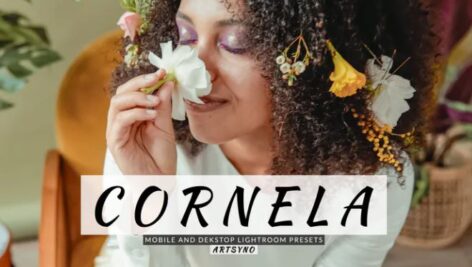 پریست آماده لایت روم دسکتاپ و موبایل Cornela Lightroom Presets