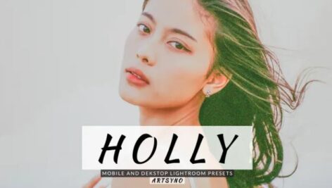 پریست لایت روم دسکتاپ و موبایل Holly Lightroom Presets