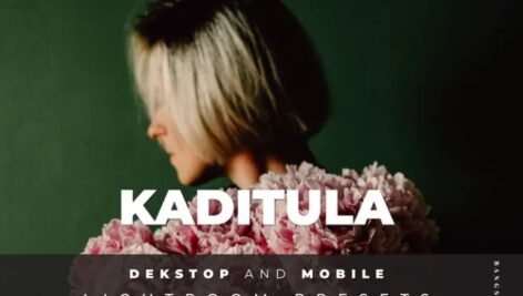 پریست لایت روم دسکتاپ و موبایل Kaditula Lightroom Preset