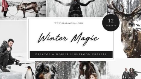 پریست لایت روم افکت زمستانی Lightroom Presets – Winter Magic