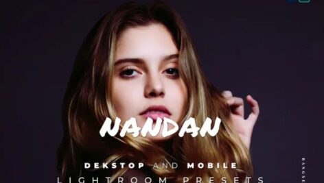 پریست لایت روم دسکتاپ و موبایل Nandan Lightroom Preset