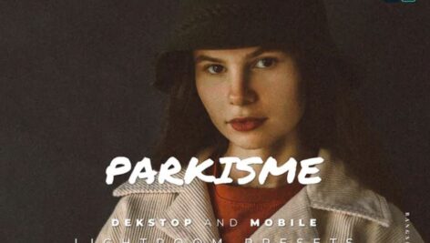پریست لایت روم دسکتاپ و موبایل Parkisme Lightroom Preset