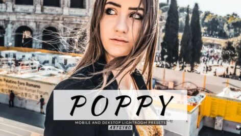 پریست لایت روم دسکتاپ و موبایل Poppy Lightroom Presets