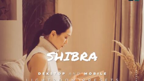 پریست لایت روم دسکتاپ و موبایل Shibra