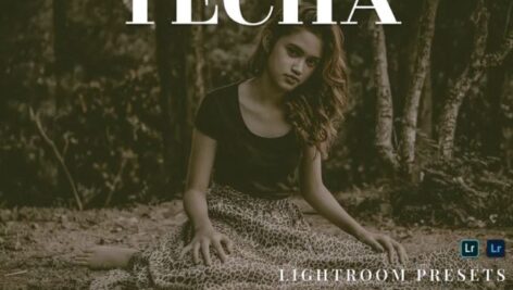 پریست لایت روم دسکتاپ و موبایل Techa Lightroom Presets