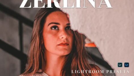 پریست لایت روم دسکتاپ و موبایل Zerlina Lightroom Presets
