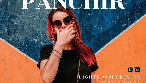 پریست لایت روم دسکتاپ و موبایل Panchir Lightroom Presets