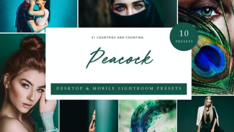 پریست لایت روم دسکتاپ و موبایل Lightroom Presets – Peacock