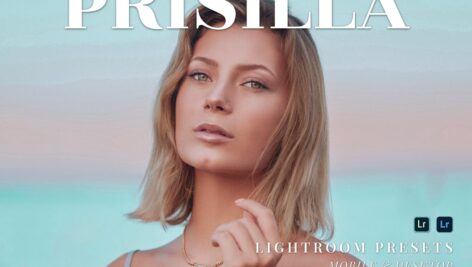 پریست لایت روم دسکتاپ و موبایل Prisilla Lightroom Presets