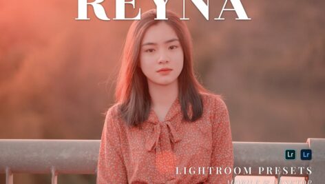 پریست لایت روم دسکتاپ و موبایل  Reyna Lightroom Presets