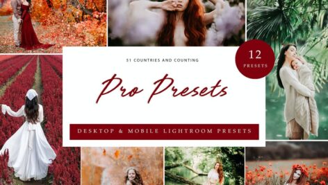 پریست لایت روم  Lightroom Presets – Pro Presets