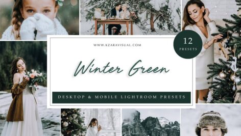 پریست لایت روم زمستان Lightroom Presets – Winter Green
